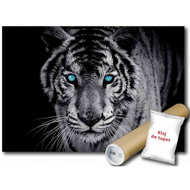 Fototapeta Tygr Divoká Kočka 12C F2XL 312x219 F153