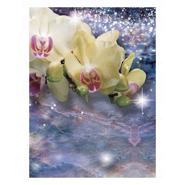 Fototapeta Orchideje lesk a magie vinylová 184x254 lepidlo