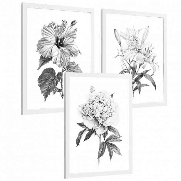 PLAKAT Sada 3 obrázků květin. Dekorativní nástěnné tisky Květiny tužkou. botanický plakát na zeď. Černobílé květinové malby.Velikost A4 Bílý rám