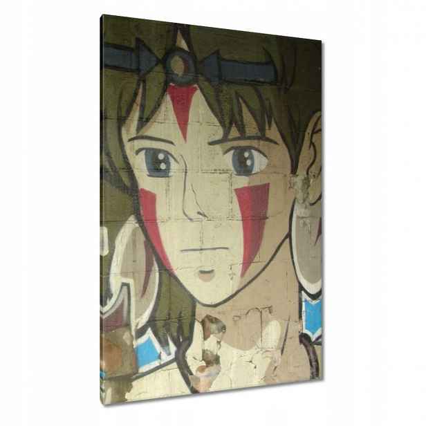 Obrazy 80x120 Graffiti Mural WallArt