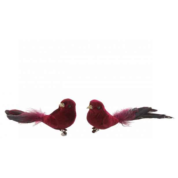 Sada 2ks sametový vínový ptáček Bird s péřovým zdobením – 16*5*5 cm J-Line by Jolipa