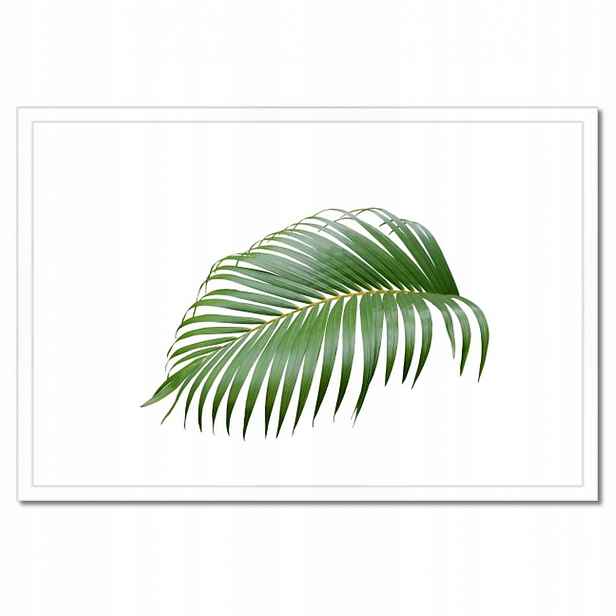 Plakáty v rámu 60x40 Zelený list Minimalismus
