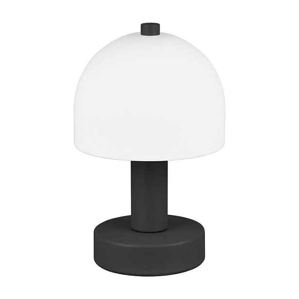 Černo-bílá stolní lampa se skleněným stínidlem (výška 19 cm) Glenn – Reality