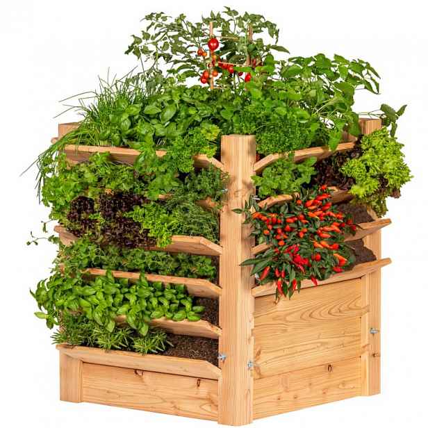 Patrový truhlík Herb nízký