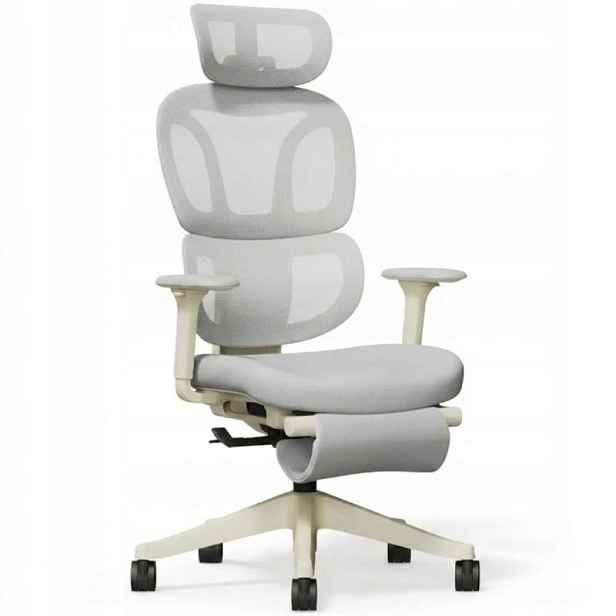 Ergonomická kancelářská židle s podnožkou BS5WG-F2, 2D opěrka hlavy, šedá