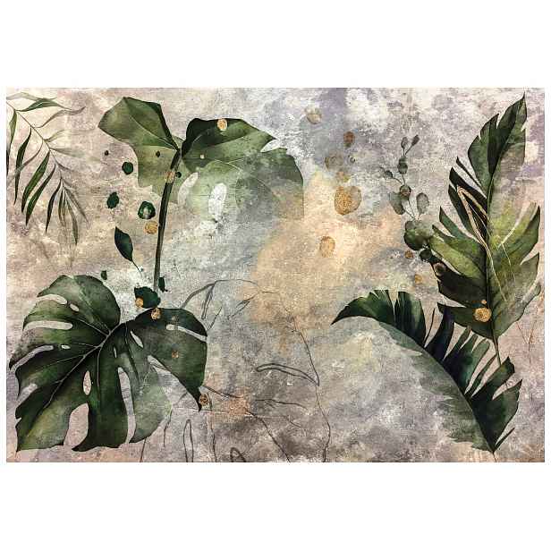 Fototapeta Zlaté listy Monstera Filodendron na šedém pozadí 250x175 lepidlo