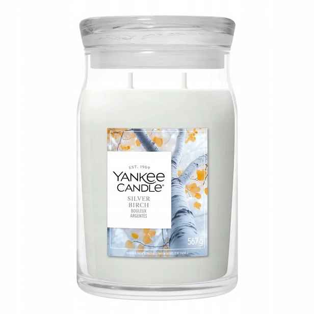 Yankee Candle Silver Birch – velká vonná svíčka 567 g