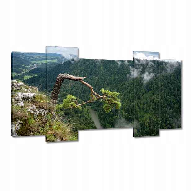 Obrazy 120x65 Krajina Sokolica