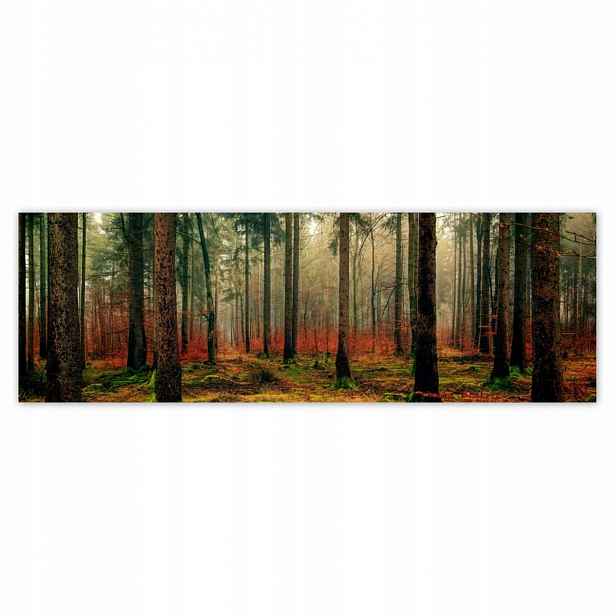 Plakáty 200x66 Lesní krajina Pohled