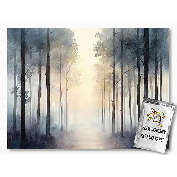 Fototapeta Flizelina Les Stromy Stezka Cesta Mlha Slunce 208x146 130g