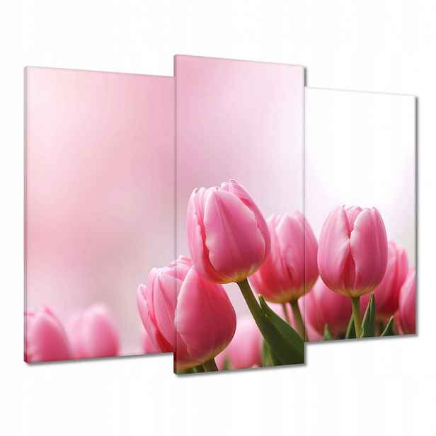 Obrazy 90x70 Růžové tulipány