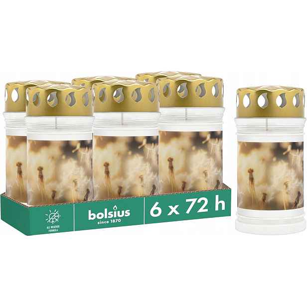 Hřbitovní Svíčka Bolsius 6 ks s motivem pampelišky, 3 dny hoření bez palmového oleje