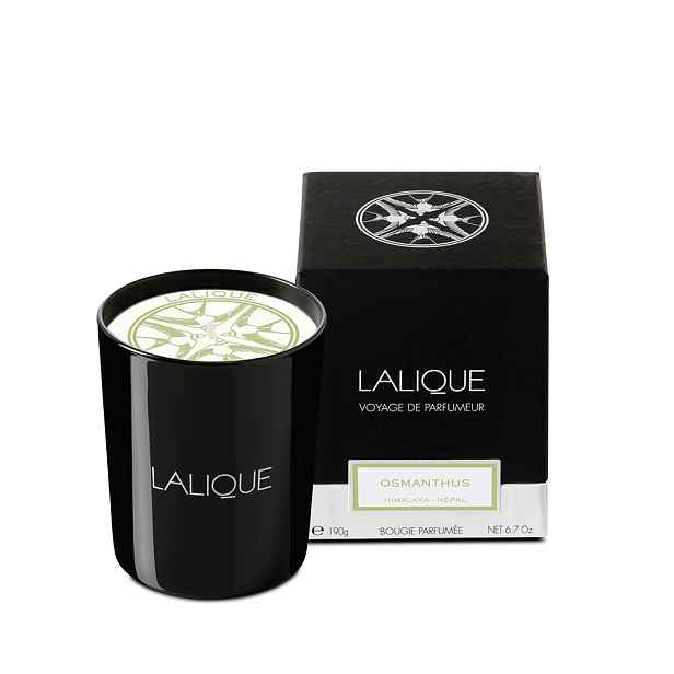 Lalique Vonná svíčka Osmanthus – Himalaya, 190 g B15181