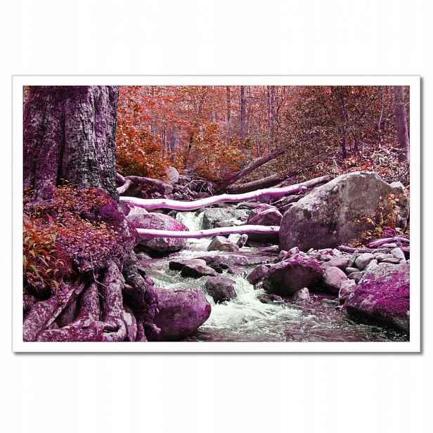 Plakáty v rámu 60x40 Fialová kaskáda