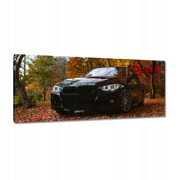 Obrazy 100x40 Černé Bmw Podzim