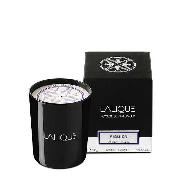 Lalique Vonná svíčka Amalfi, fík – Itálie, 190 g B40181