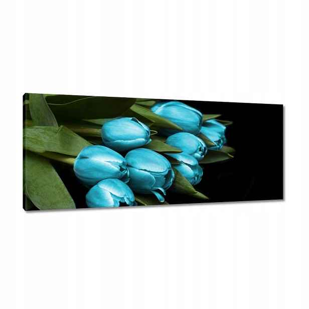Obrazy 100x40 Tyrkysové tulipány Květina