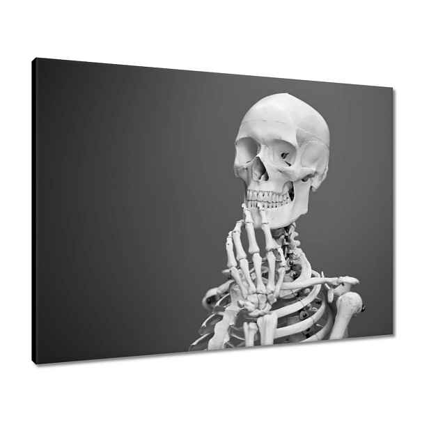 Obrazy 80x60 Kostlivec Kostra kostí