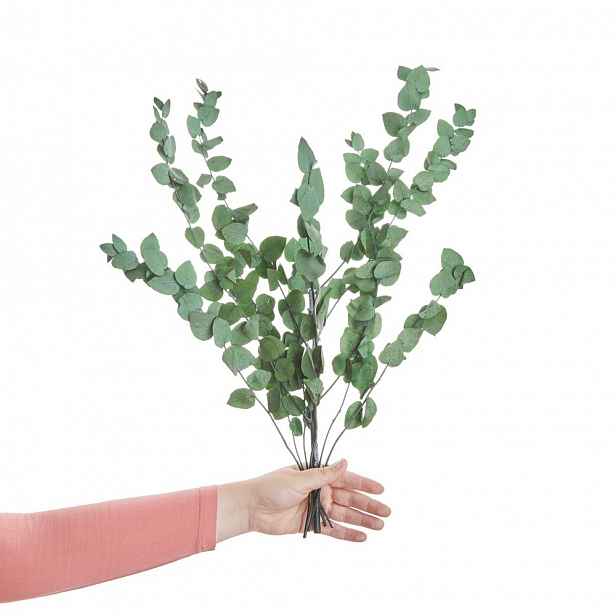 Butlers FLOWER MARKET Eukalyptus sušený 60 cm - tm. zelená