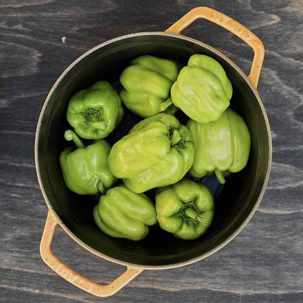 Paprika Dolma Kandil