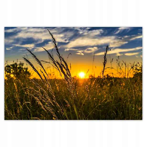 Fototapety 200x135 Západ slunce mezi trávou