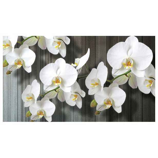 Fototapeta Bílé orchideje vinylová jemnost a elegance 368x254 lepidlo