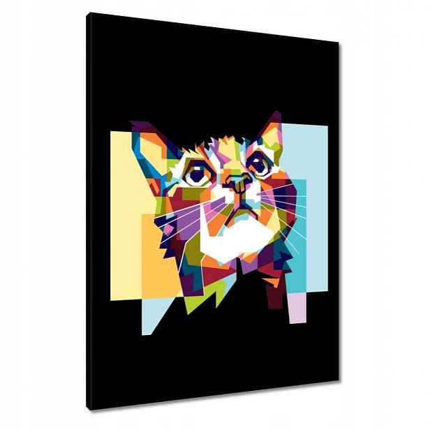 Obrazy 60x80 Abstraktní kočka