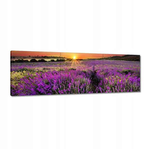 Obrazy 120x40 Levandulová louka
