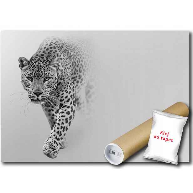 Vinylová Fototapeta Leopard Mlha Kočka 152x104