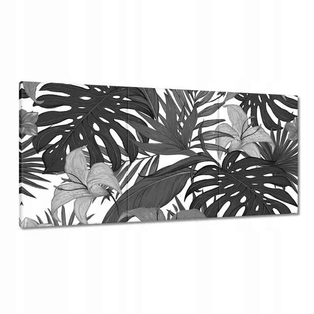 Obrazy 180x90 Monstera