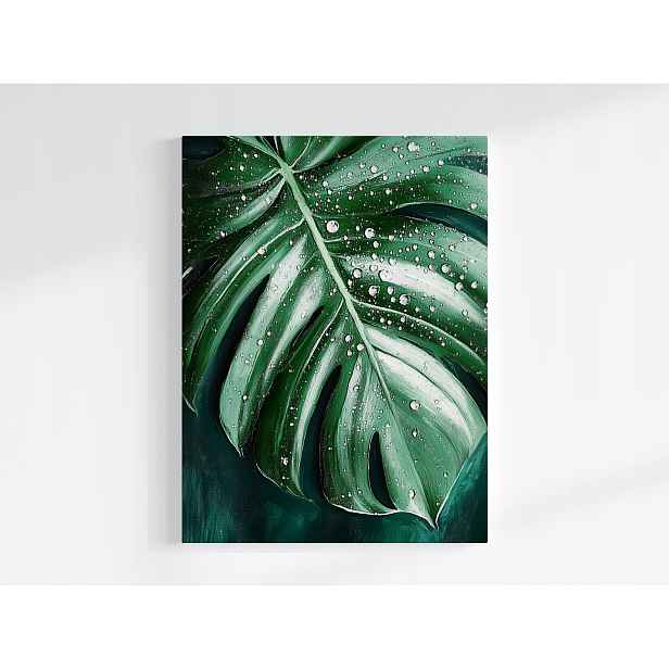 Plakát Příroda List Monstera Filodendron Voda Rosa 75x100
