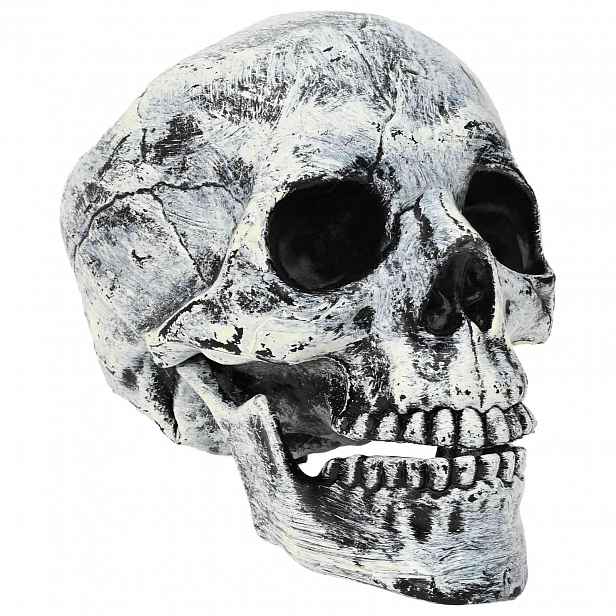 vidaXL Halloweenská lebka SPOOKA 2 ks Bílá 12 x 15 x 17.5 cm Plast