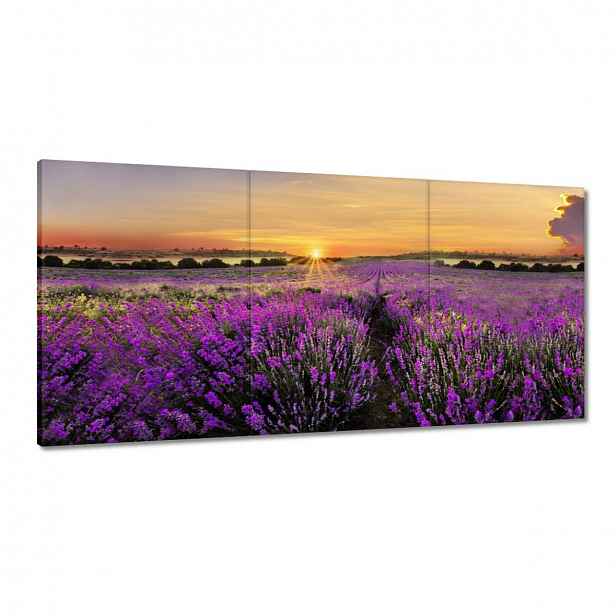 Obrazy 120x60 Levandule Západ slunce