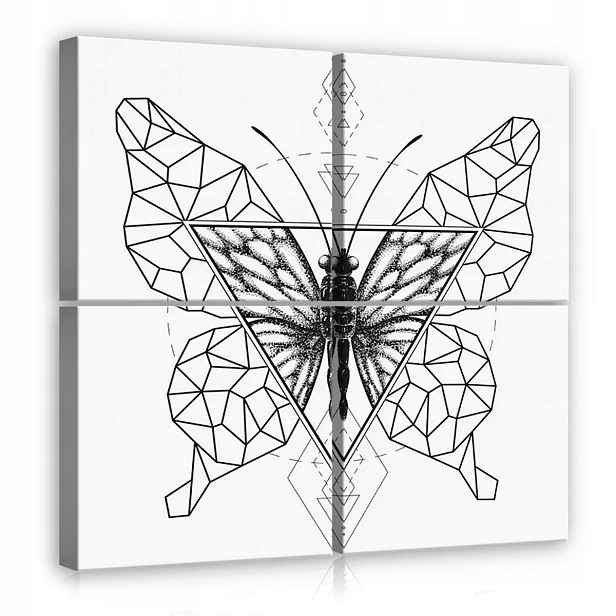 Obraz Na Plátně Plátno 50x50 Motýl Hmyz Můra Kresba Umění Geometrie