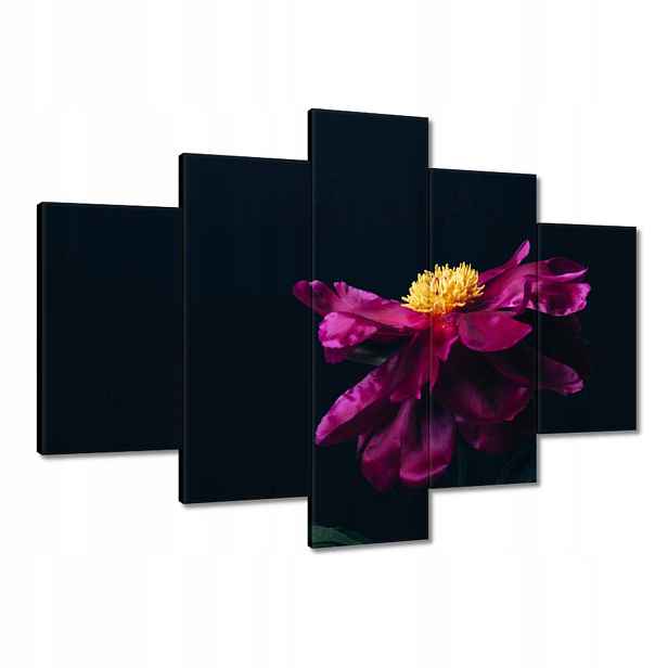 Obrazy 150x105 Krásný růžový květ Astra