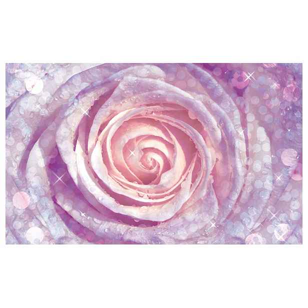 Fototapeta Růže Rosa Bokeh Lesk vinylová 254x184 Jemnost a Kouzlo lepidlo