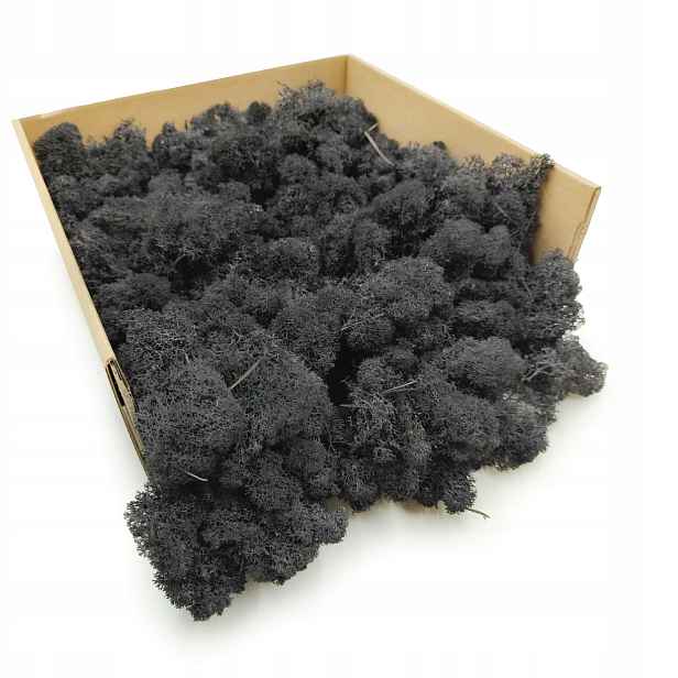 Mech Chrobotek Reniferový Finský Očištěný Černý 500 g