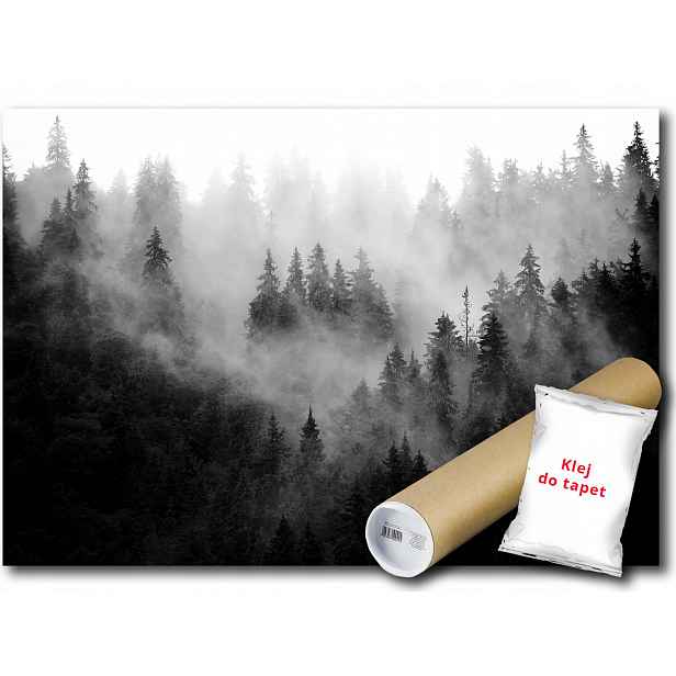 Vinylová Fototapeta Les Hory Mlha Stromy 152x104