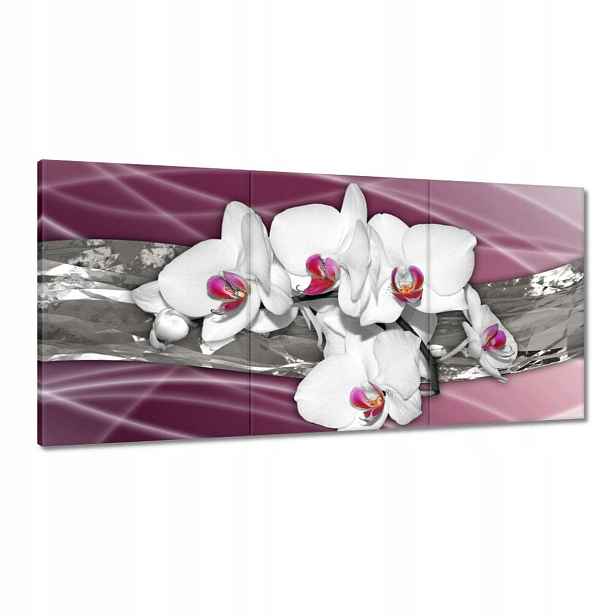 Obrazy 120x60 Orchideje