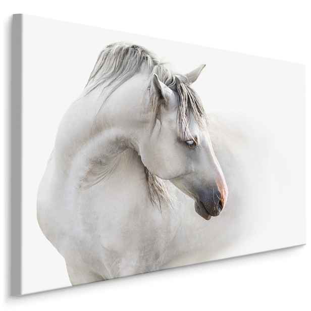 MyBestHome BOX Plátno Bílý Kůň V Mlze Varianta: 40x30