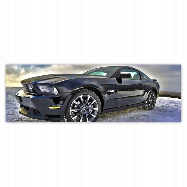 Plakáty 200x66 Ford Mustang v zimě