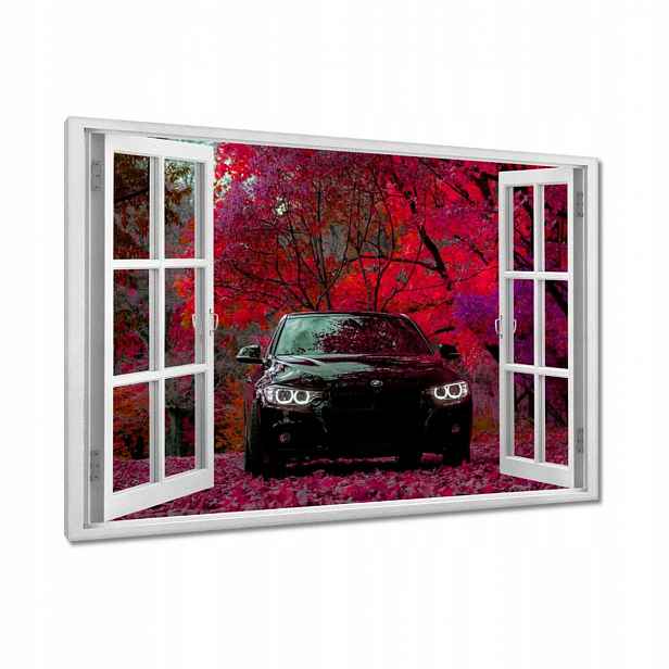 Černé obrazy 90x60 Bmw Podzim