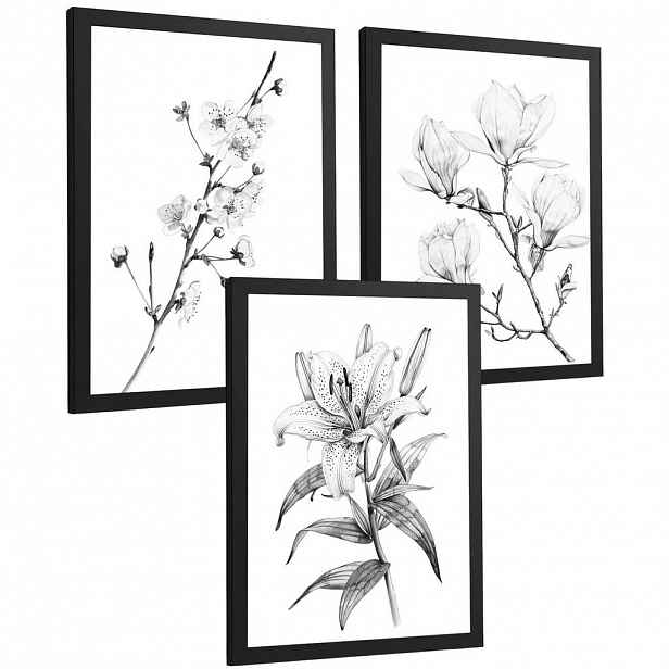 PLAKAT Sada 3 obrázků květin. Dekorativní nástěnné tisky Květiny tužkou. botanický plakát na zeď. Noridco květinové malby.Černý rám velikosti A4