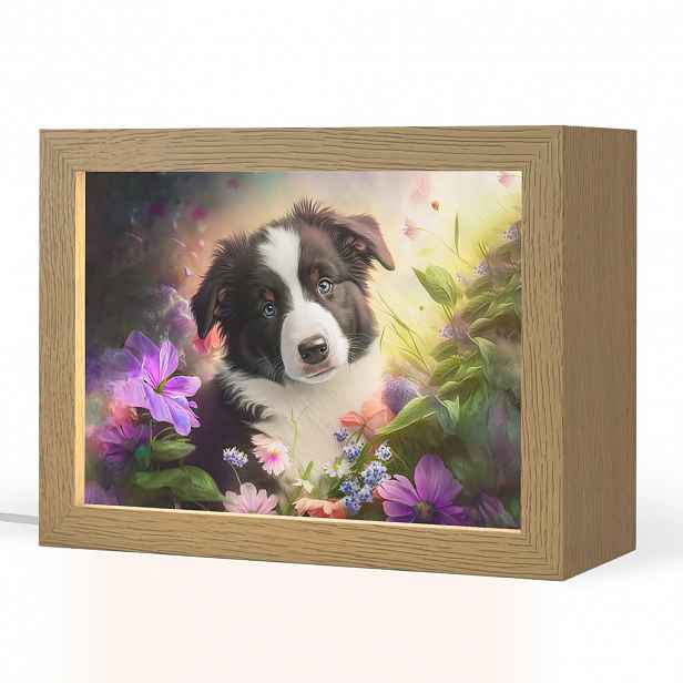 OnlyWow NOČNÍ LAMPIČKA Štěně - Slunce - Květiny - Příroda - Border kolie - Pes 20x15 cm