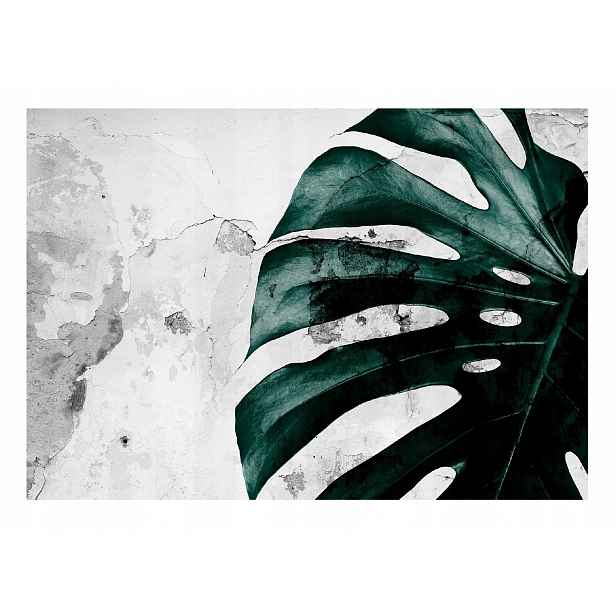 Fototapeta List Monstera beton Vinyl 368x280