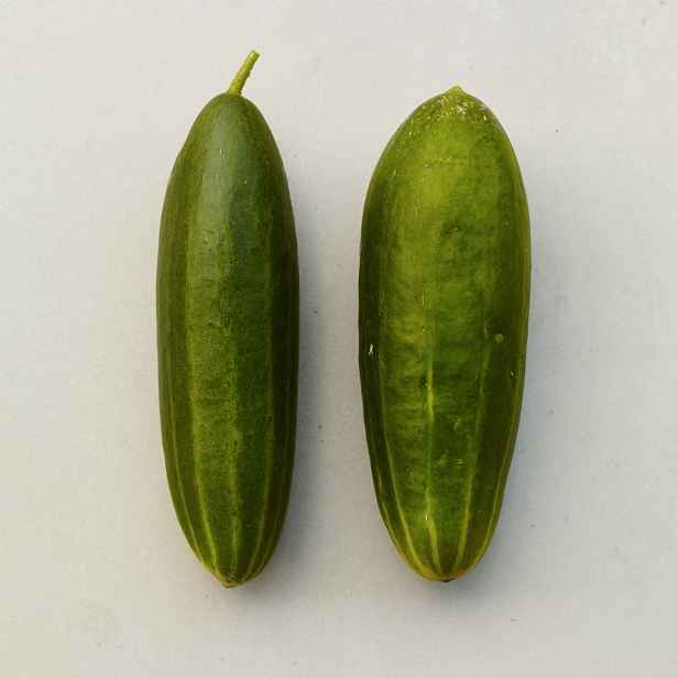 Okurka Marketmore BIO