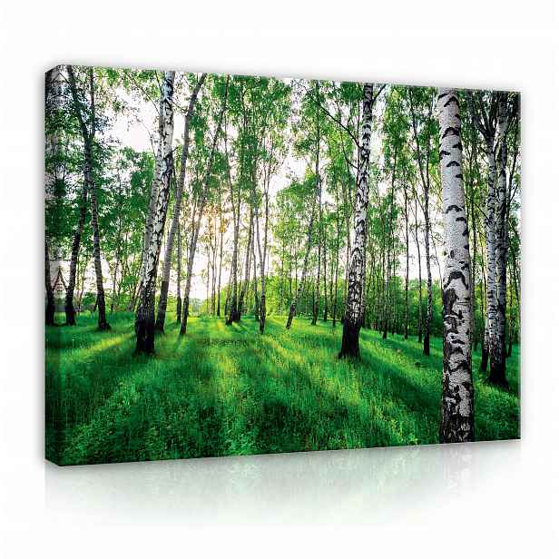 Obraz na zeď do ložnice XXL Les Příroda 80x60