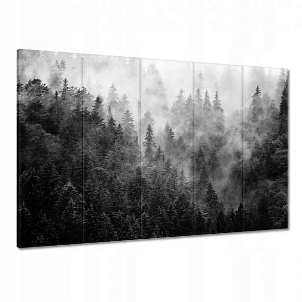 Obrazy 100x70 Krajina Šedá Hory Mlha