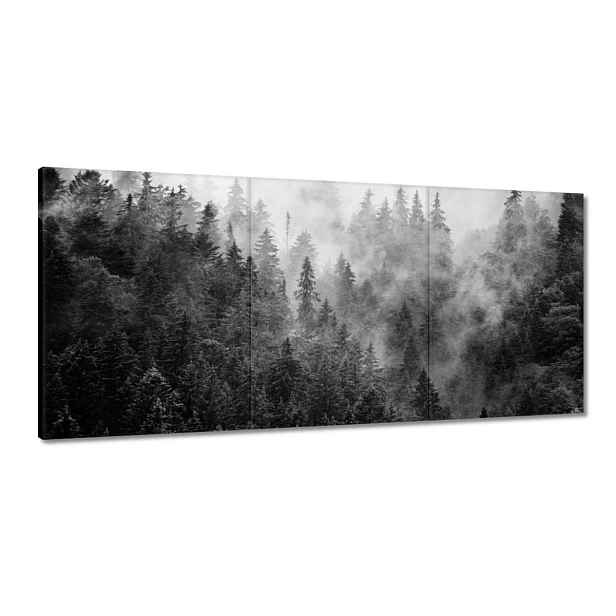 Obrazy 210x100 Krajina Šedá Hory Mlha
