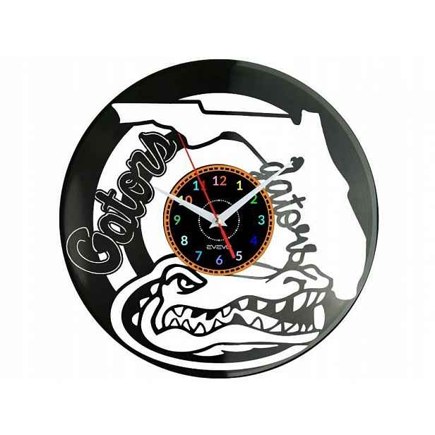 Aligator Nástěnné hodiny Vinylová deska Moderní dekorativní jako Dárek